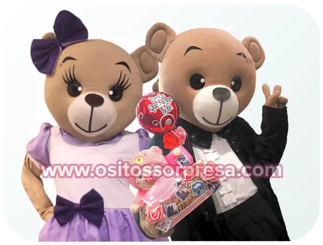 oso elegante